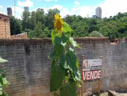 Terreno para Venda em Arapongas - 4